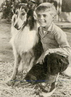 Jon Provost als Timmy Martin mit Lassie